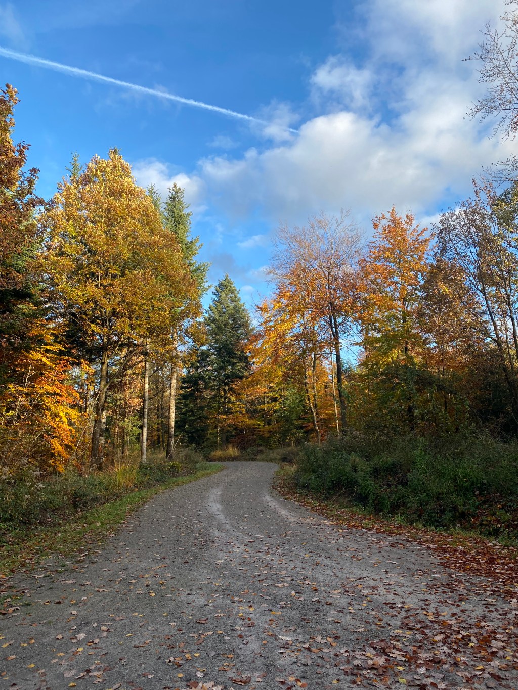 Ein Herbst Zwischen Waldwegen und&nbsp;Zugfahrten